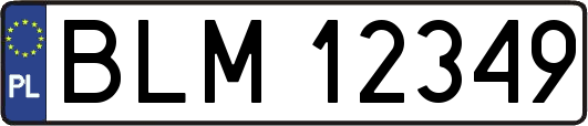 BLM12349