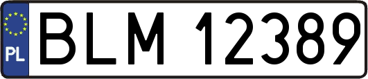 BLM12389