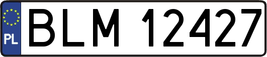 BLM12427