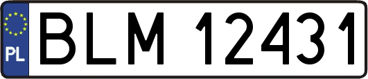BLM12431