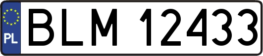 BLM12433