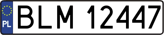 BLM12447