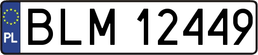 BLM12449