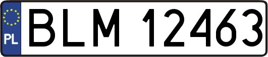 BLM12463