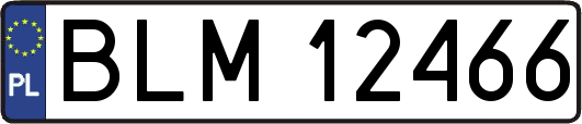 BLM12466