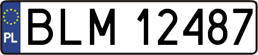 BLM12487