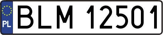 BLM12501