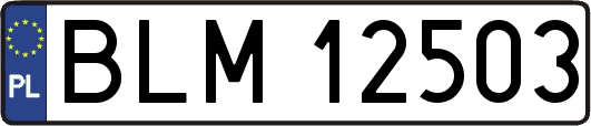 BLM12503