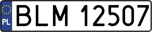 BLM12507