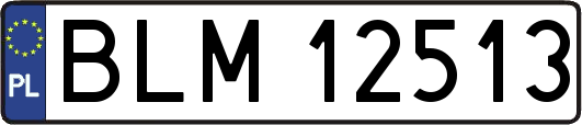 BLM12513