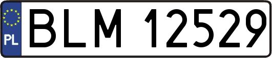 BLM12529