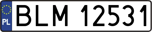 BLM12531
