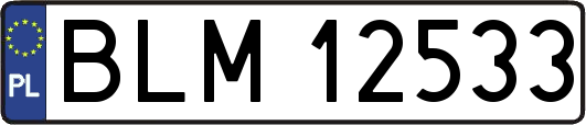 BLM12533