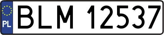 BLM12537
