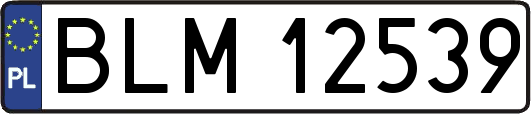 BLM12539
