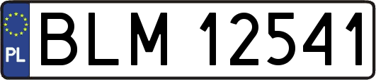 BLM12541