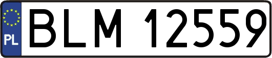 BLM12559