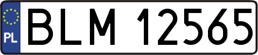 BLM12565
