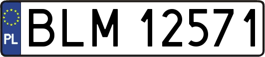 BLM12571