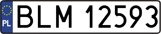 BLM12593