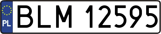 BLM12595
