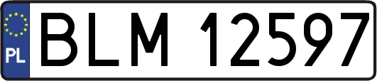 BLM12597