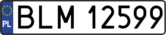 BLM12599