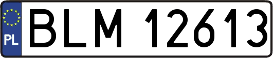 BLM12613