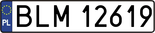 BLM12619