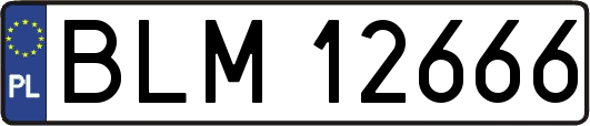 BLM12666