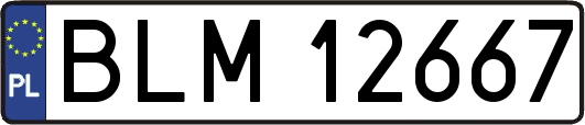 BLM12667