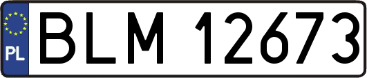 BLM12673