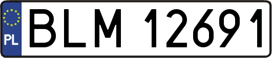 BLM12691
