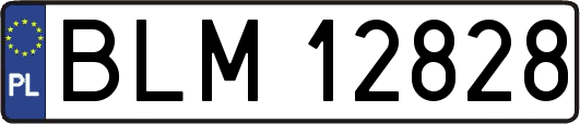 BLM12828