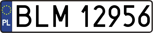BLM12956
