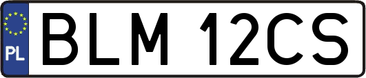 BLM12CS