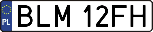 BLM12FH