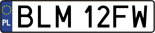 BLM12FW