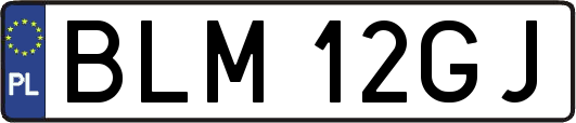 BLM12GJ