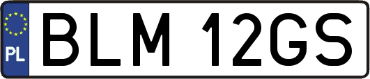 BLM12GS