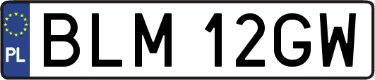 BLM12GW