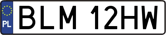 BLM12HW