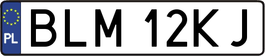 BLM12KJ
