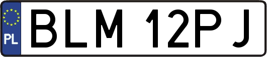 BLM12PJ