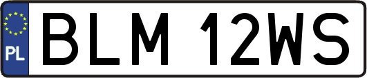 BLM12WS