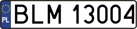 BLM13004