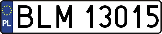BLM13015