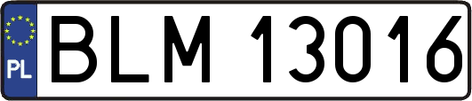 BLM13016