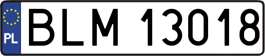 BLM13018