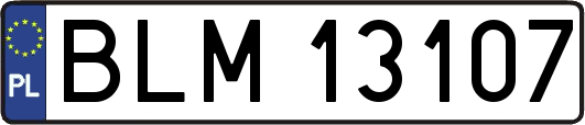 BLM13107